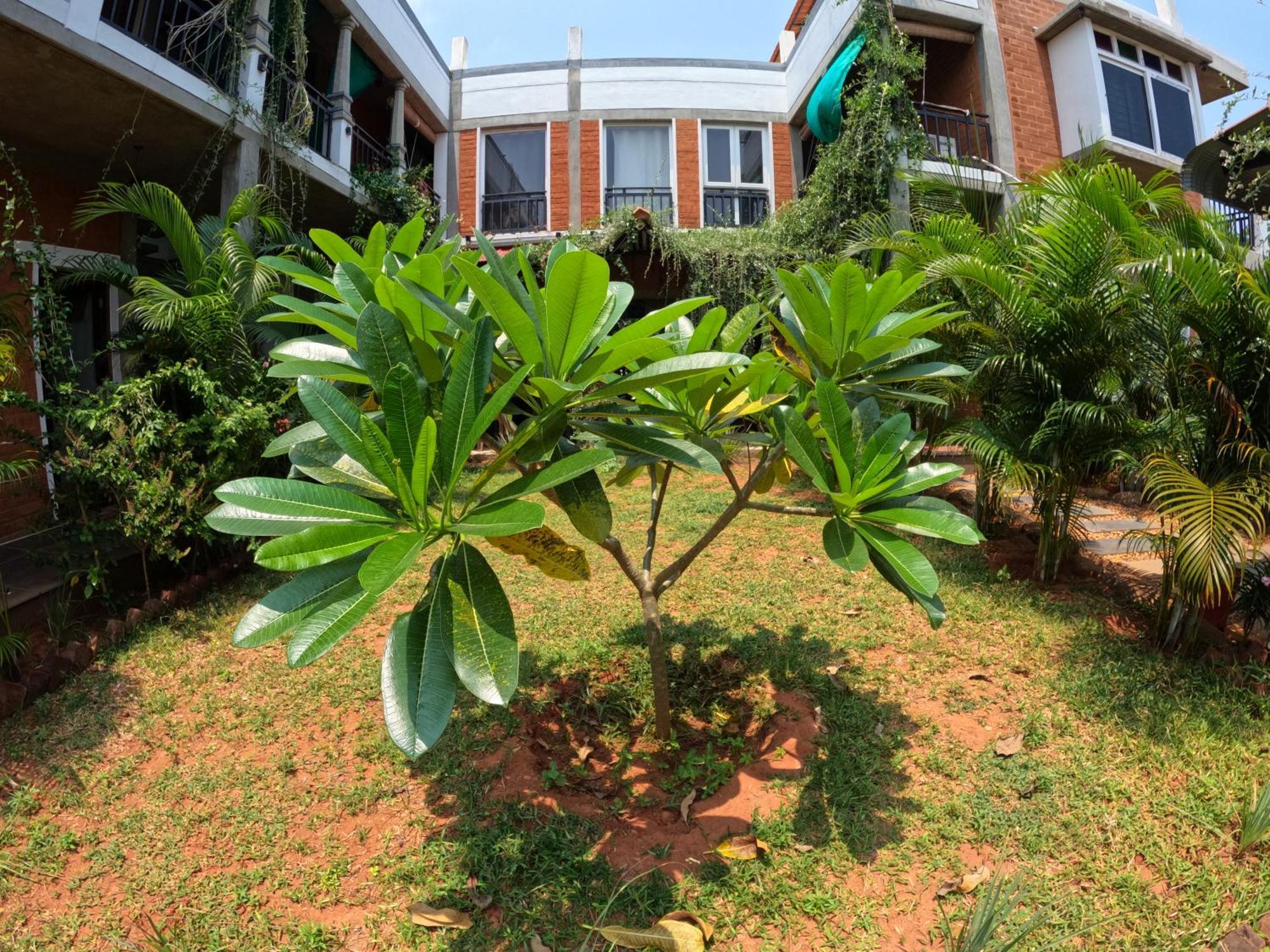 Wow Farm House Auroville Kültér fotó